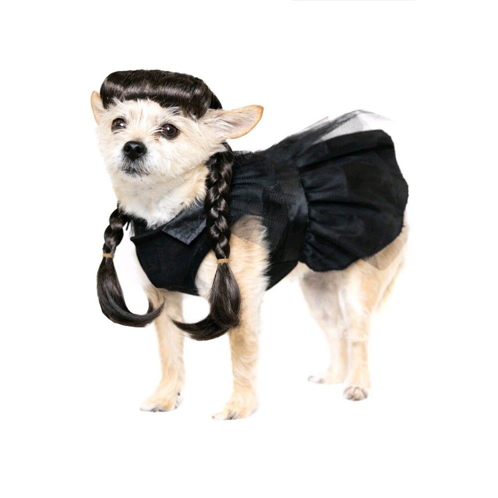 Vibrant Life Gothic Witch Dog/Pet Halloween Costume Wig & Outfit XS (5-10Lbs)